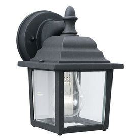 Hawthorne Single-Light Outdoor Wall Lantern