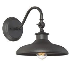 Raleigh Single-Light 11" Outdoor Wall Mount Sconce