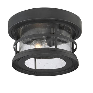 5-369-10-BK Lighting/Outdoor Lighting/Outdoor Flush & Semi-Flush Lights