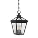 5-146-BK Lighting/Outdoor Lighting/Outdoor Pendants