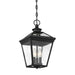 5-146-BK Lighting/Outdoor Lighting/Outdoor Pendants