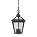 5-146-BK Lighting/Outdoor Lighting/Outdoor Pendants
