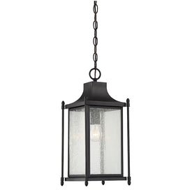 Dunnmore Single-Light Hanging Lantern