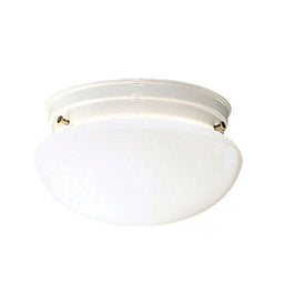 Ceiling Space Two-Light Flush Mount Ceiling Fixture