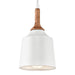 43682WH Lighting/Ceiling Lights/Pendants