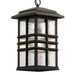 49833OZ Lighting/Outdoor Lighting/Outdoor Pendants
