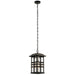 49833OZ Lighting/Outdoor Lighting/Outdoor Pendants