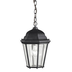 Madison Single-Light Outdoor Hanging Lantern