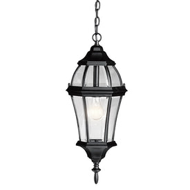 Townhouse Single-Light Outdoor Hanging Lantern
