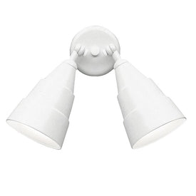 Two-Light Outdoor Wall Sconce
