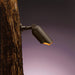 15087AZT Lighting/Outdoor Lighting/Outdoor Flood & Spot Lights