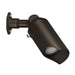 15087AZT Lighting/Outdoor Lighting/Outdoor Flood & Spot Lights