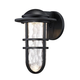 Steampunk Single-Light 13" LED Indoor/Outdoor Wall Light 3000K