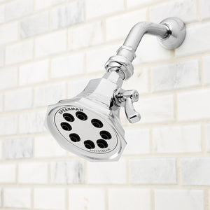 S-3019-E2 Bathroom/Bathroom Tub & Shower Faucets/Showerheads