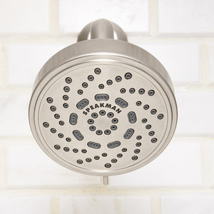 S-4200-BN-E175 Bathroom/Bathroom Tub & Shower Faucets/Showerheads