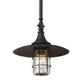 Allegheny Single-Light Medium Outdoor Hanging Lantern
