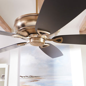 40625-80 Lighting/Ceiling Lights/Ceiling Fans