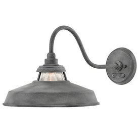Troyer Single-Light Large Outdoor Wall-Mount Lighting Fixture
