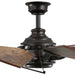 P250000-129 Lighting/Ceiling Lights/Ceiling Fans