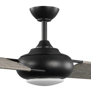 P2596-8030K Lighting/Ceiling Lights/Ceiling Fans