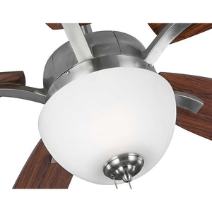 P2598-09 Lighting/Ceiling Lights/Ceiling Fans