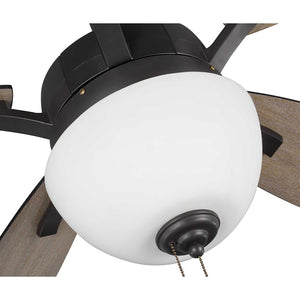 P2598-143 Lighting/Ceiling Lights/Ceiling Fans