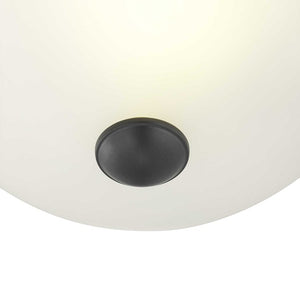 P350043-143 Lighting/Ceiling Lights/Flush & Semi-Flush Lights