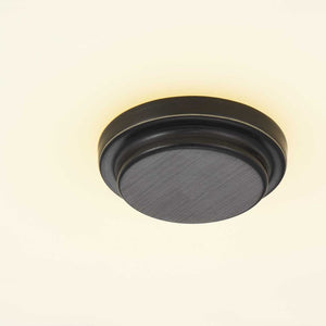 P350087-020-30 Lighting/Ceiling Lights/Flush & Semi-Flush Lights