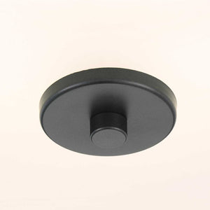 P350129-143 Lighting/Ceiling Lights/Flush & Semi-Flush Lights