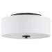 P350135-143-30 Lighting/Ceiling Lights/Flush & Semi-Flush Lights