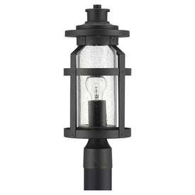 Haslett Single-Light Outdoor Post Lantern