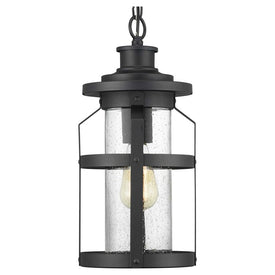 Haslett Single-Light Outdoor Hanging Lantern
