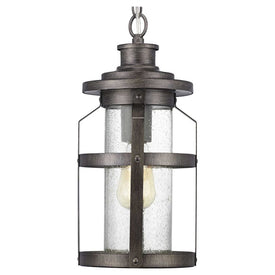 Haslett Single-Light Outdoor Hanging Lantern