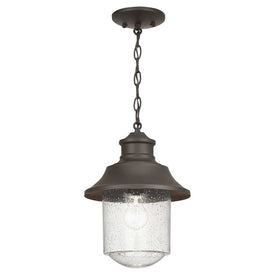 Weldon Single-Light Outdoor Hanging Lantern