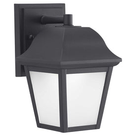 Single-Light LED Small Outdoor Wall Lantern