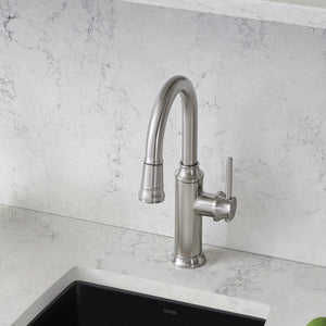442513 Kitchen/Kitchen Faucets/Bar & Prep Faucets