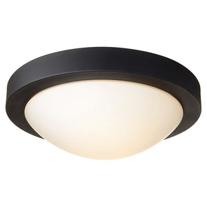 3505-13-69 Lighting/Ceiling Lights/Flush & Semi-Flush Lights