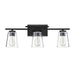 8-1020-3-BK Lighting/Wall Lights/Vanity & Bath Lights