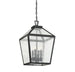 5-104-BK Lighting/Outdoor Lighting/Outdoor Pendants