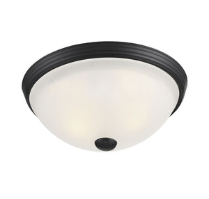 6-780-11-BK Lighting/Ceiling Lights/Flush & Semi-Flush Lights