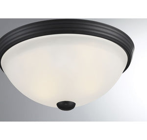 6-780-11-BK Lighting/Ceiling Lights/Flush & Semi-Flush Lights