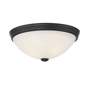 6-780-13-BK Lighting/Ceiling Lights/Flush & Semi-Flush Lights