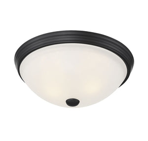 6-780-13-BK Lighting/Ceiling Lights/Flush & Semi-Flush Lights