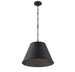 7-132-1-89 Lighting/Ceiling Lights/Pendants