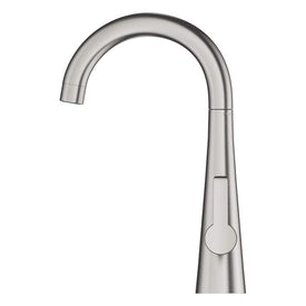 Grohe Zedra/Ladylux) Single Handle Beverage Faucet (Cold Water Only) with Filtration