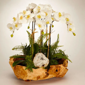 White Orchids and Geode in Wood Bowl