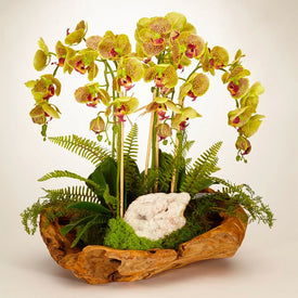 Green Orchids and Geode in Wood Bowl