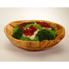 Organic Moss Garden with Citrine Geode in Hand-Carved Wood Bowl