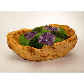 Organic Moss Garden with Amethyst Geode in Hand-Carved Wood Bowl