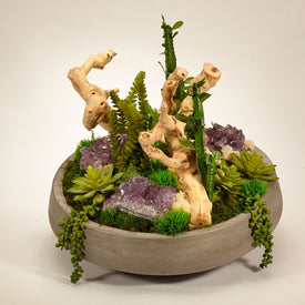Succulents with Amethyst and Drift Wood in Large Concrete Bowl